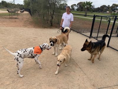 Swan Hill Dog Park